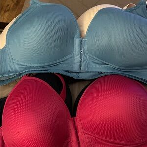 Light Blue and Hot Pink Seamless T-Shirt Bra - Women Intimates
